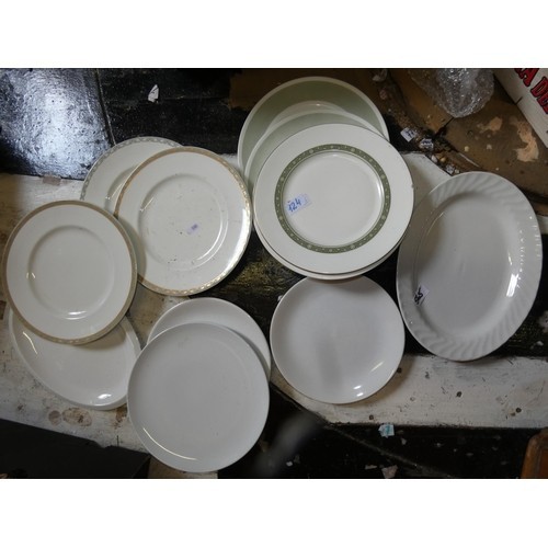 113 - QTY OF DINNER PLATES AND DISHES