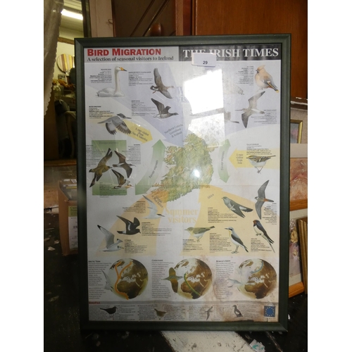 29 - VINTAGE BIRD MIGRATION POSTER