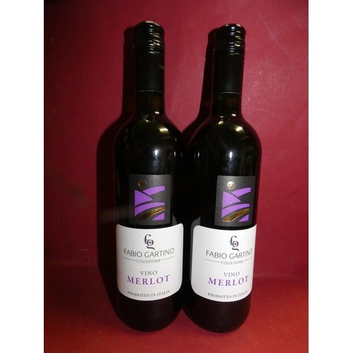 45 - 2 BOTTLES OF MERLOT WINE