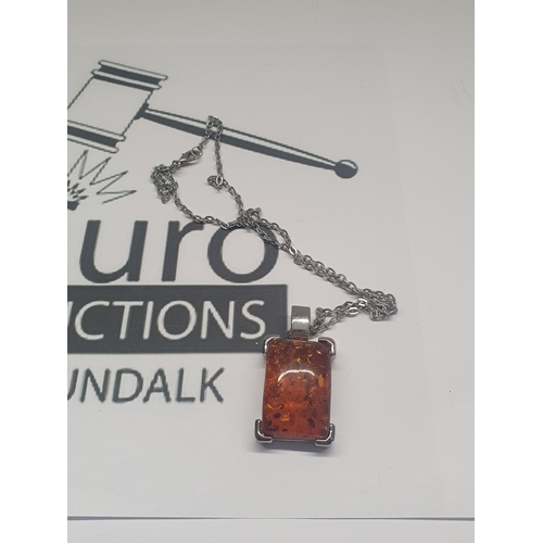 1046 - Vintage large Amber pendant