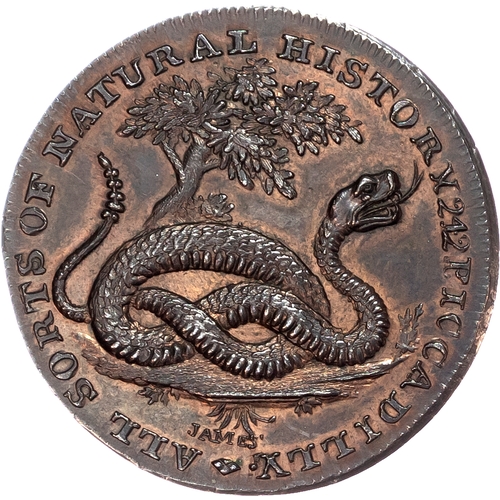 1065 - London - Piccadilly, George Bayly (rare breeds dealer and menagerie owner) Halfpenny undated, Crocod... 