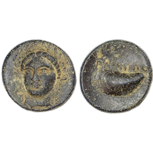 Lot 20        