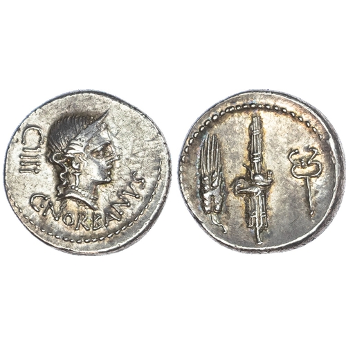 Lot 49        