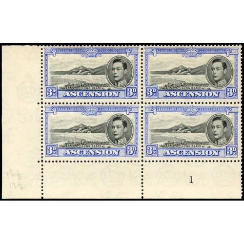 Lot 11        