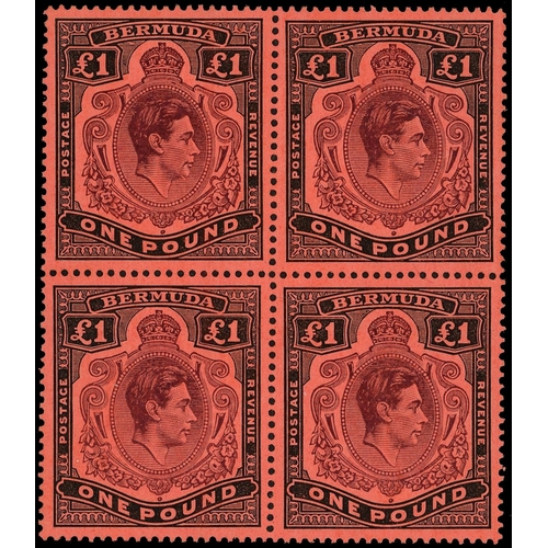 Lot 135       