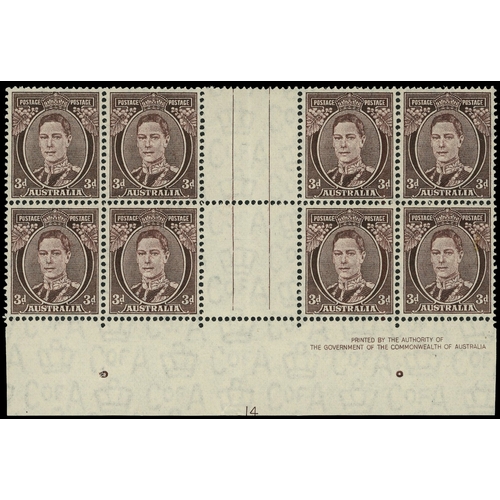 Lot 31        