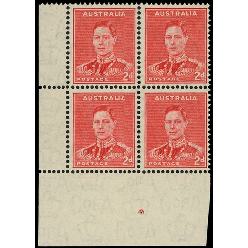 Lot 49        