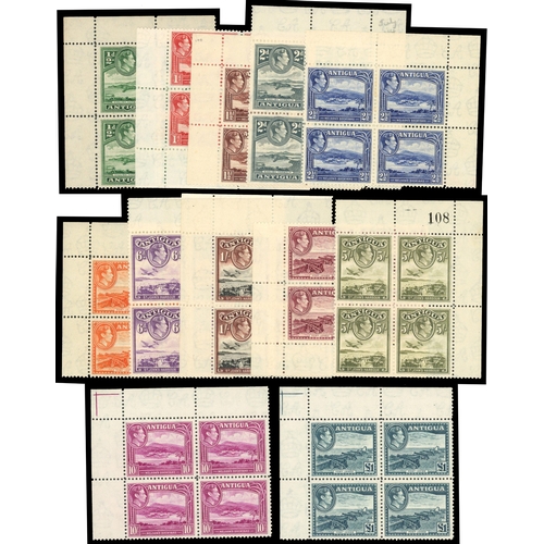 Lot 7         