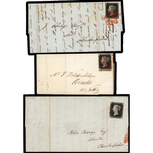 Lot 54        