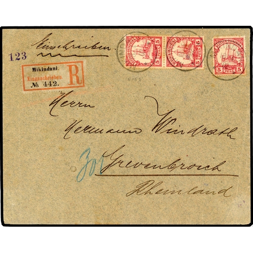 Lot 543       