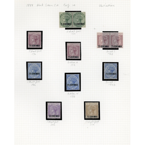 Lot 560       