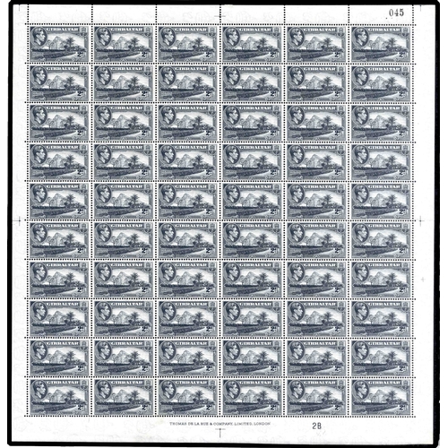 Lot 569       