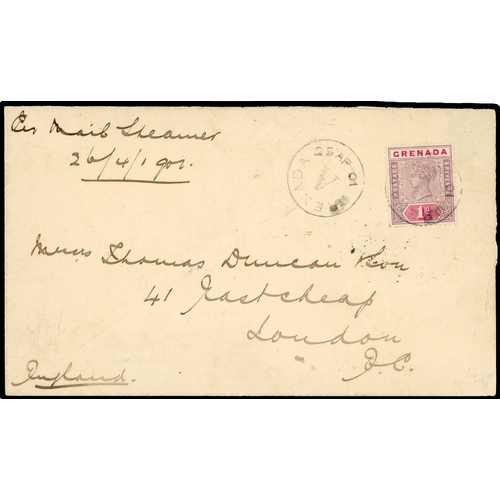 Lot 589       