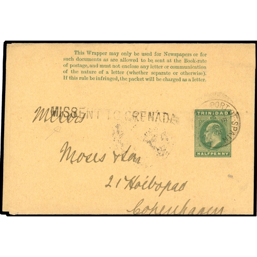Lot 590       