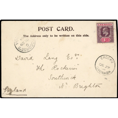 Lot 591       