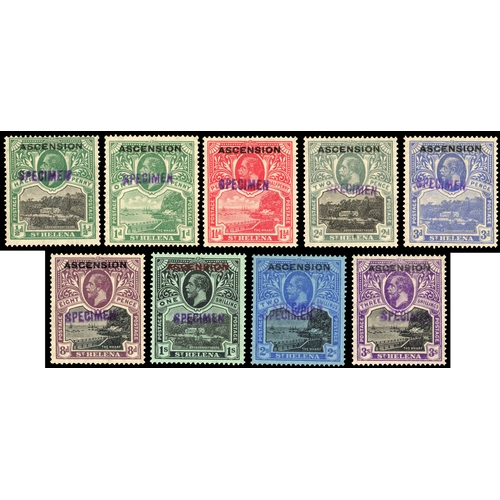 Lot 16        