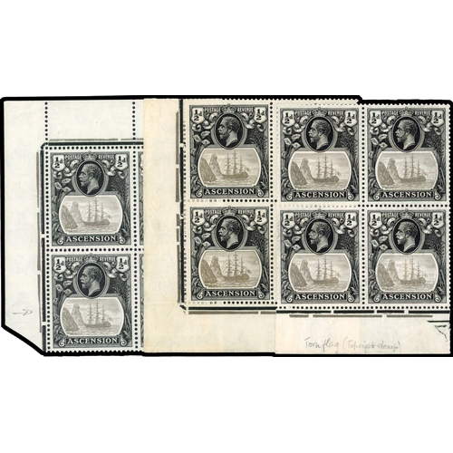 Lot 20        