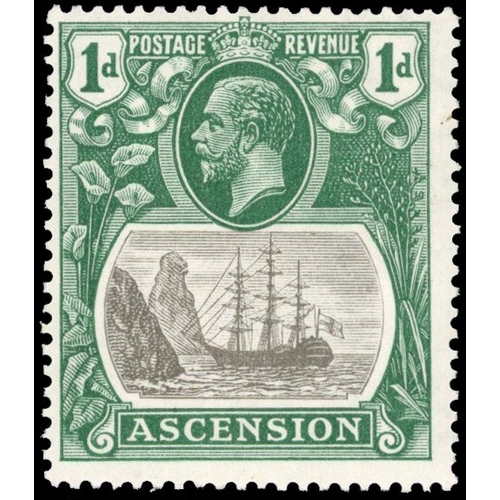 Lot 41        