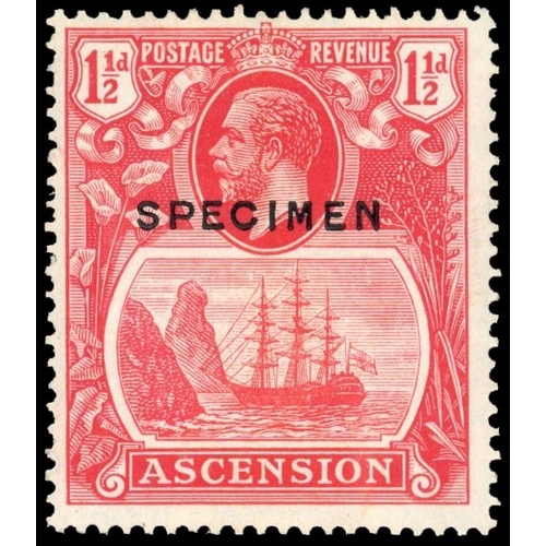 Lot 49        