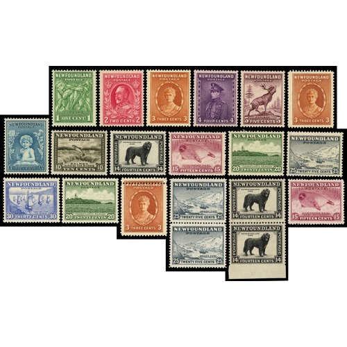 Lot 56        