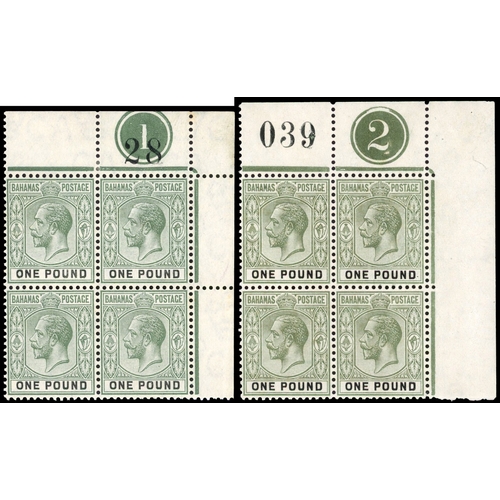 Lot 8         