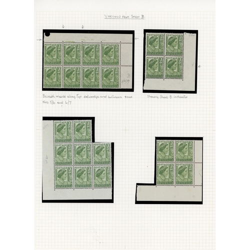 37 - 1951-62 2d yellow-green collection (308), no coil stamps, well written up on leaves.  Includes parti... 