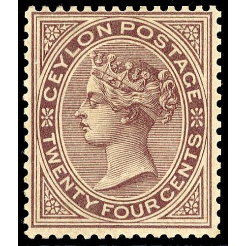 Lot 259       