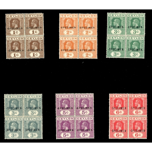 Lot 295       