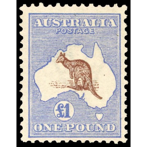 Lot 505       
