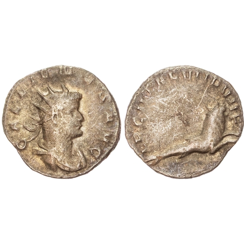 Lot 51        