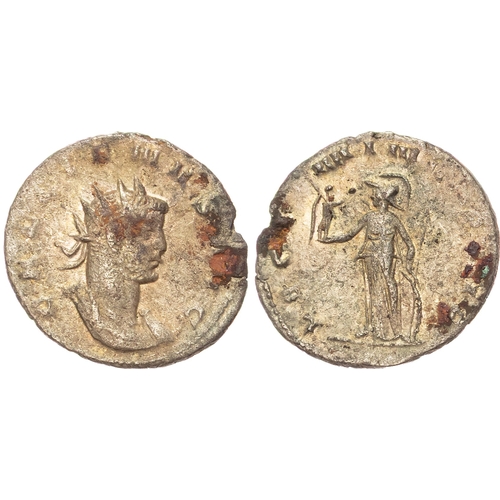 Lot 53        
