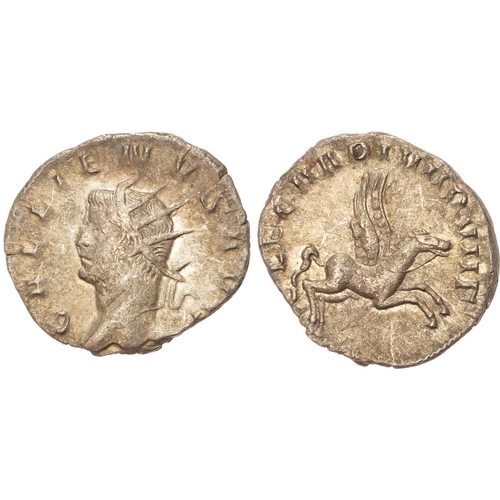 Lot 54        