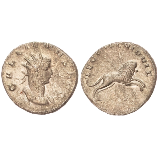 Lot 60        