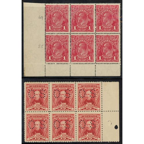 76 - Australia: mint and used selection arranged on large stockcards
