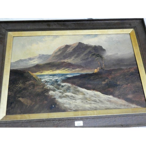 224 - Oil painting of a Highland river scene signed F Walters