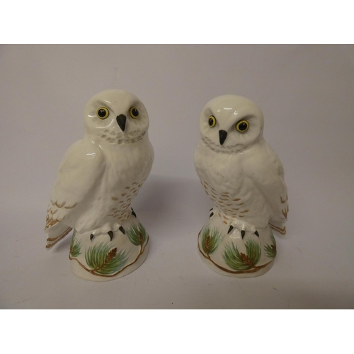 521 - A pair of Crown Staffordshire models of Snowy Owls by Barbara Linley Adams (more famously known for ... 