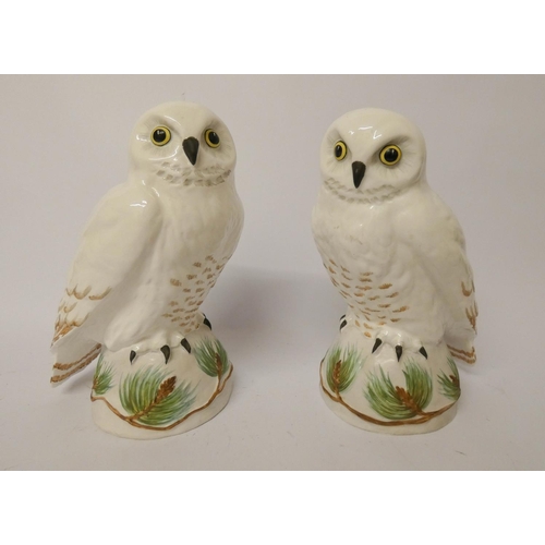 521 - A pair of Crown Staffordshire models of Snowy Owls by Barbara Linley Adams (more famously known for ... 