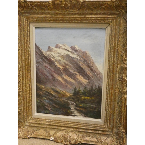 726 - Framed oil on panel of an alpine scene, indistinctly signed 'M Warforth', 13