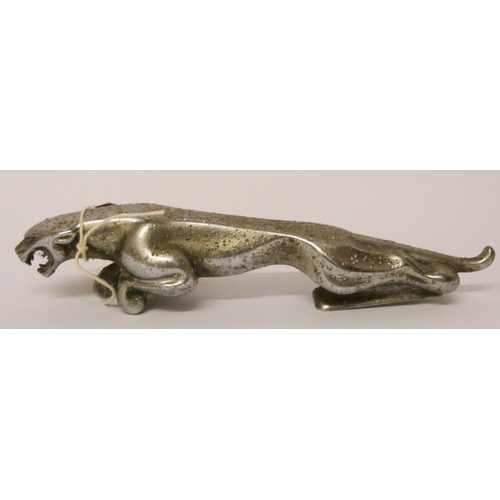 558 - A Jaguar plated car mascot