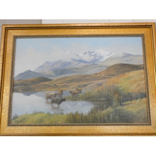 193 - An oil painting of cattle in highland scene in a gilt frame, signed A McDonald