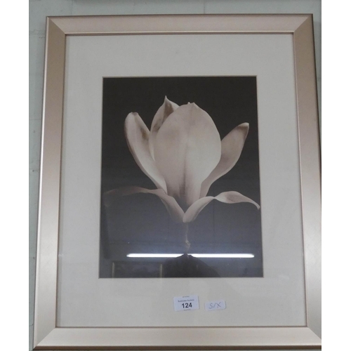 124 - A pair of still life prints of flowers, racehorse print and three others