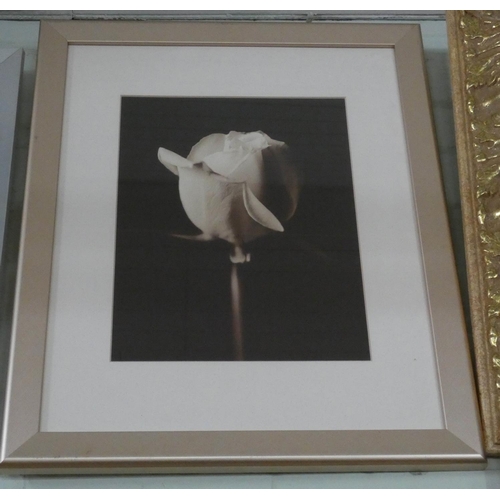 124 - A pair of still life prints of flowers, racehorse print and three others