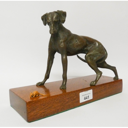 441 - A modern cast bronze of a Greyhound startled by a mouse, on a wooden plinth