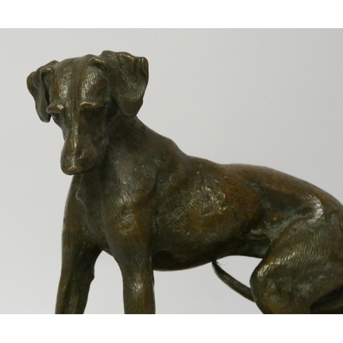 441 - A modern cast bronze of a Greyhound startled by a mouse, on a wooden plinth