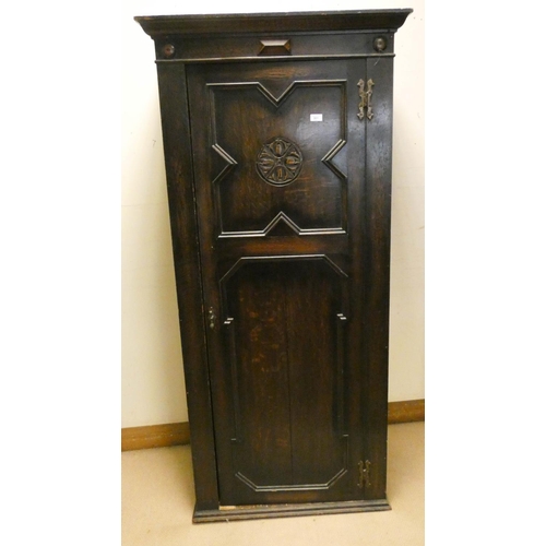 301 - An oak hall wardrobe with panelled door, 2'8