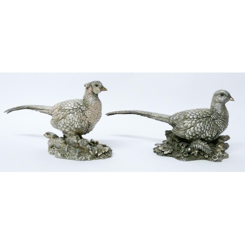 611 - Pair of Country Artists contemporary silver covered models of a pair of pheasants, with glass eyes, ...