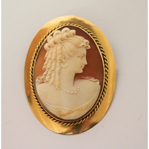 658 - Large oval carved shell cameo brooch, depicting a classical lady in profile, in hallmarked 18ct yell... 