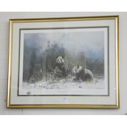 245 - A signed David Shepherd print 'The Pandas of Wolong'