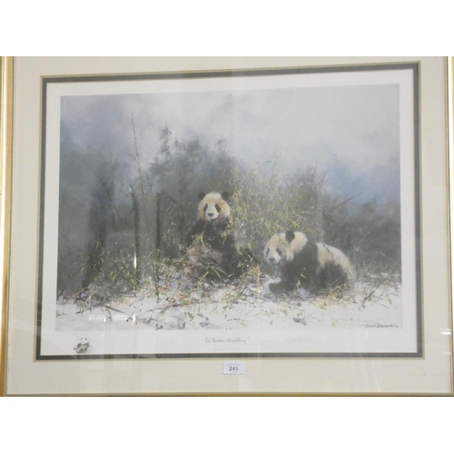 245 - A signed David Shepherd print 'The Pandas of Wolong'