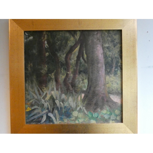 276 - Robert Belgrand 1900-1960, oil on canvas depicting wooded landscape in a square gilt frame, image ap... 